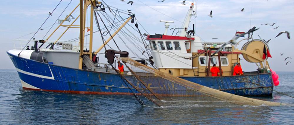 Haring over de kop varen....