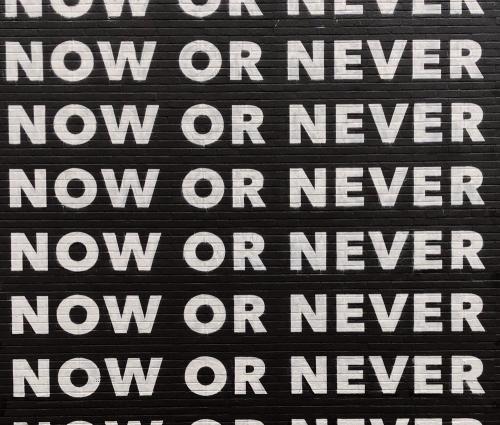 Aanpassen aan de crisis: NOW or never