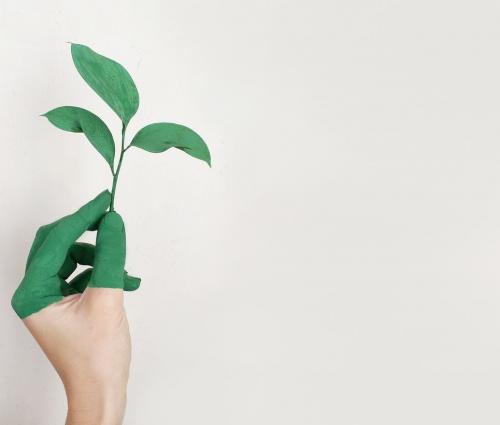 Informatieplicht energiebesparende maatregelen
